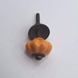 May include: A pumpkin-shaped cabinet knob with a glossy orange finish and a ribbed surface. The knob features a dark bronze-toned metal base and a matching metal screw extending from the back, designed for attachment to furniture or cabinetry.