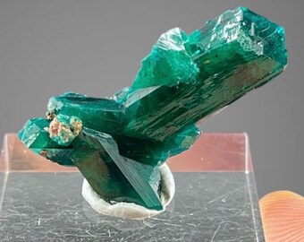 Incredible quality Dioptase Crystal - two DT crystals - 3.5cm x 2cm x 1cm from Renville (Rep. of  Congo)