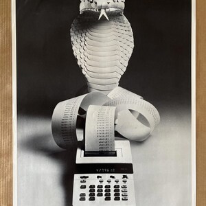 May include: Monochrome poster showing a cobra above a calculator and receipt tape. The calculator shows the number 42396.10. The text "DEADLY BALANCE" is at the bottom of the poster.