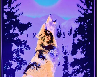 il_340x270.5338781632_c1m7.jpg
