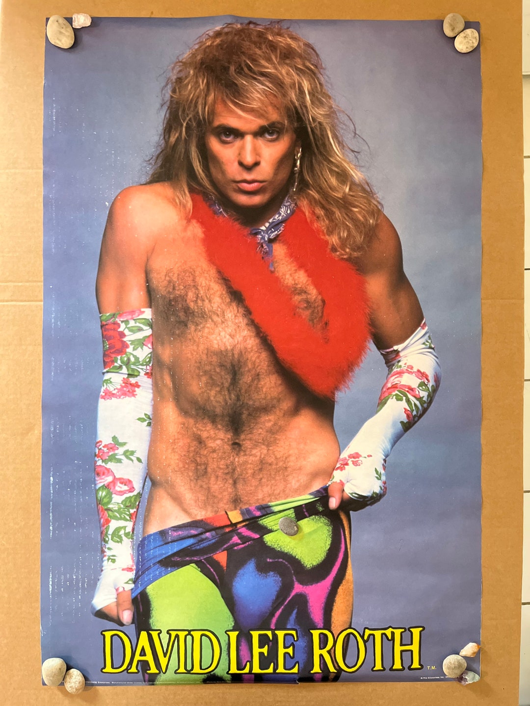 David Lee Roth Vintage Poster Van Halen Rock Music - Etsy