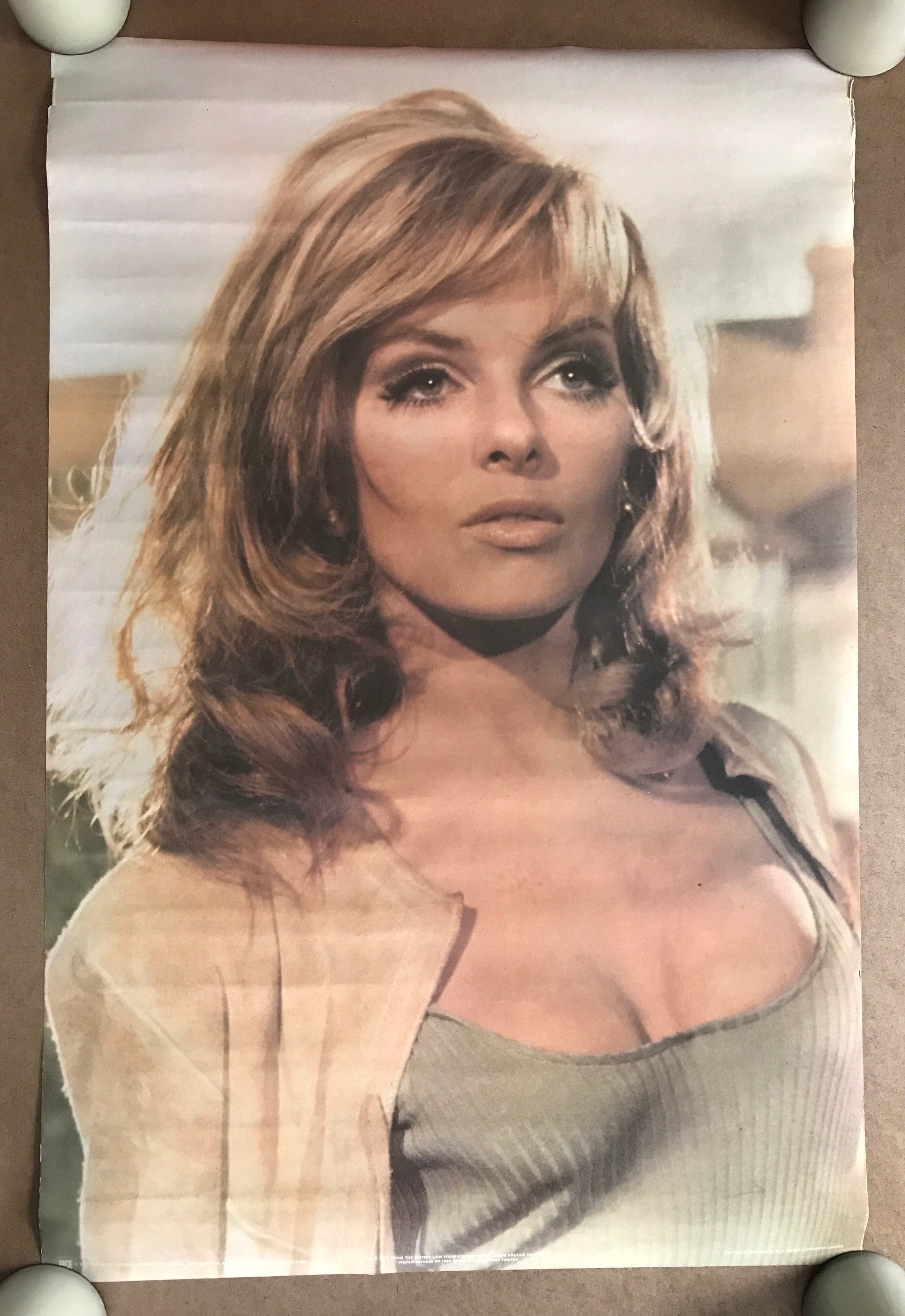 Vintage Original 1970s Julie Ege Poster Every Home Should Have Etsy