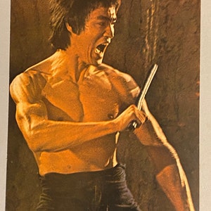 Bruce Lee Cartel película vintage karate artes marciales foto 1970'S osp Cartón