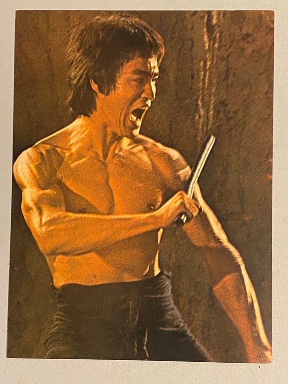 ブルース・リー ポスター ビンテージ 映画 空手 格闘技 写真 1970年代