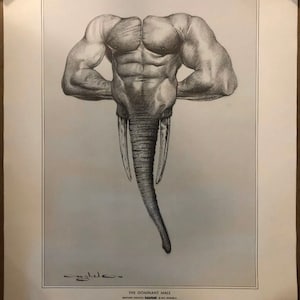 Original Vintage Poster The Dominant Male Physique Body Sexy Men Hunk Pin Up 75