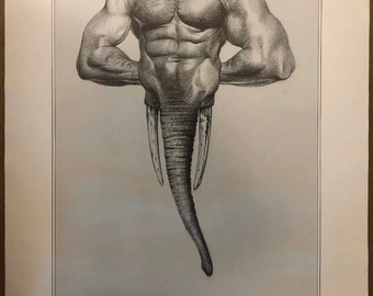 Original Vintage Poster The Dominant Male Physique Body Sexy Men Hunk Pin Up 75