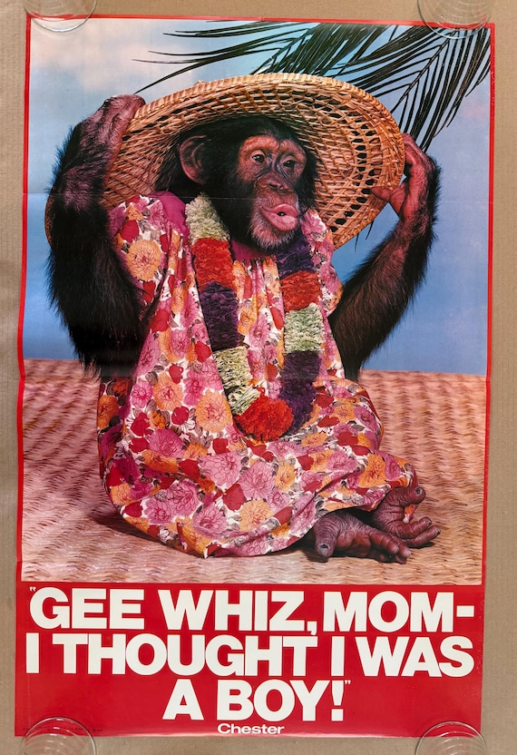 monkey in red dress Monkey In Red Dress With Wine #1 by Fab Funky