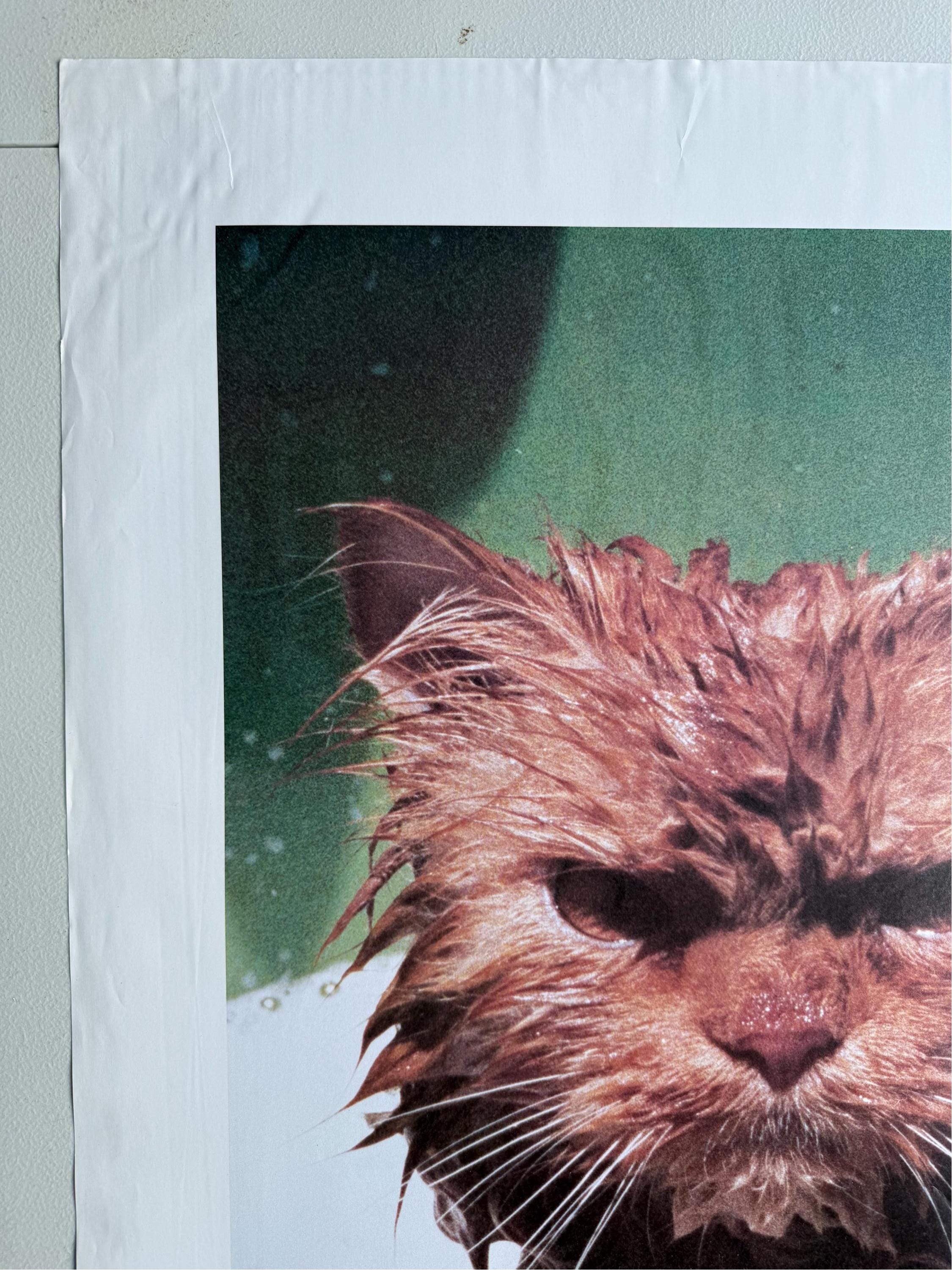 Vintage 1985 Wet Cat Poster: 'don't Tell Me' - Etsy