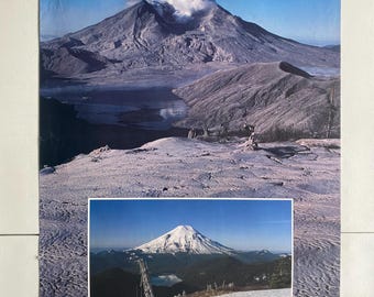 セントヘレンズ山 1980年噴火の火山灰 - Etsy 日本
