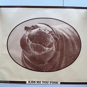 Op de afbeelding: Een sepia-getinte poster met een close-up van het gezicht van een nijlpaard in een ovale lijst. Het nijlpaard heeft een brede, vriendelijke uitdrukking. De tekst "KISS ME YOU FOOL" staat onderaan de poster.