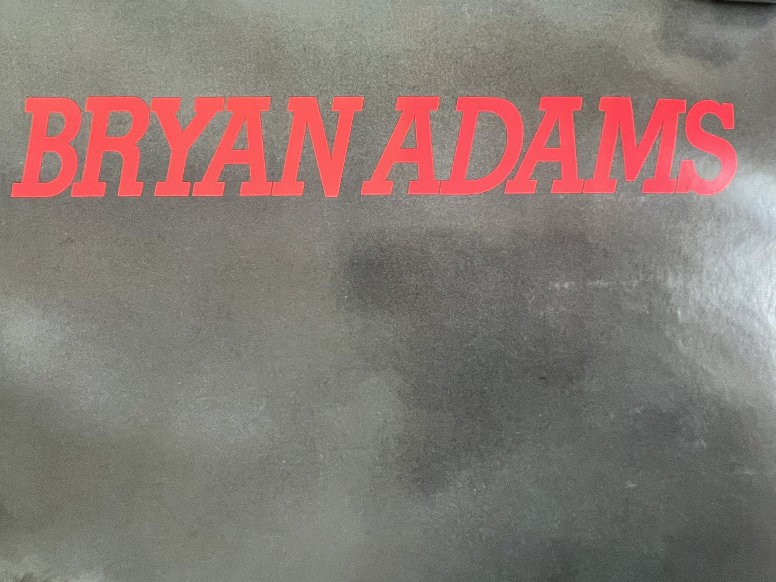 希少★BRYAN ADAMS ピンバッジ　1985 il_fullxfull.3675162126_rzjk.jpg