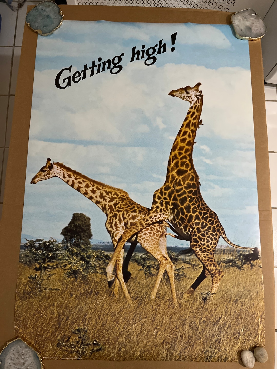 Getting High Giraffe Sex Headshop Comedy Vintage Poster - Etsy