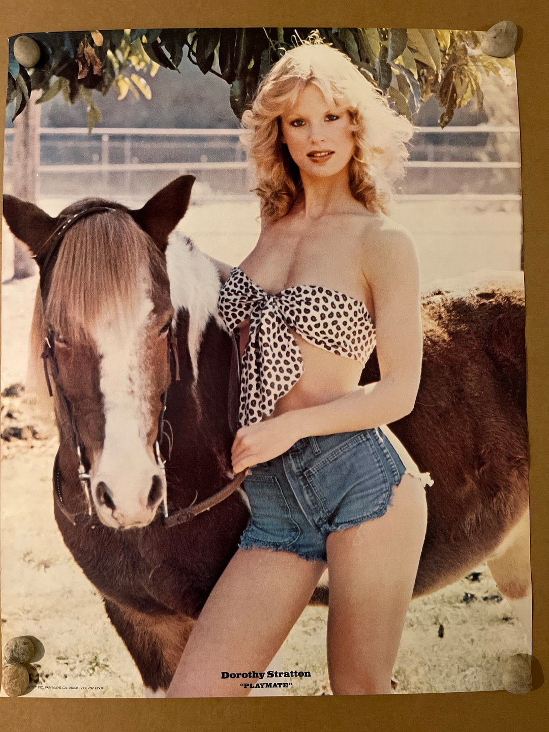 Dorothy Stratten Playmate 1980s Sexy Pinup Vintage Poster - Etsy