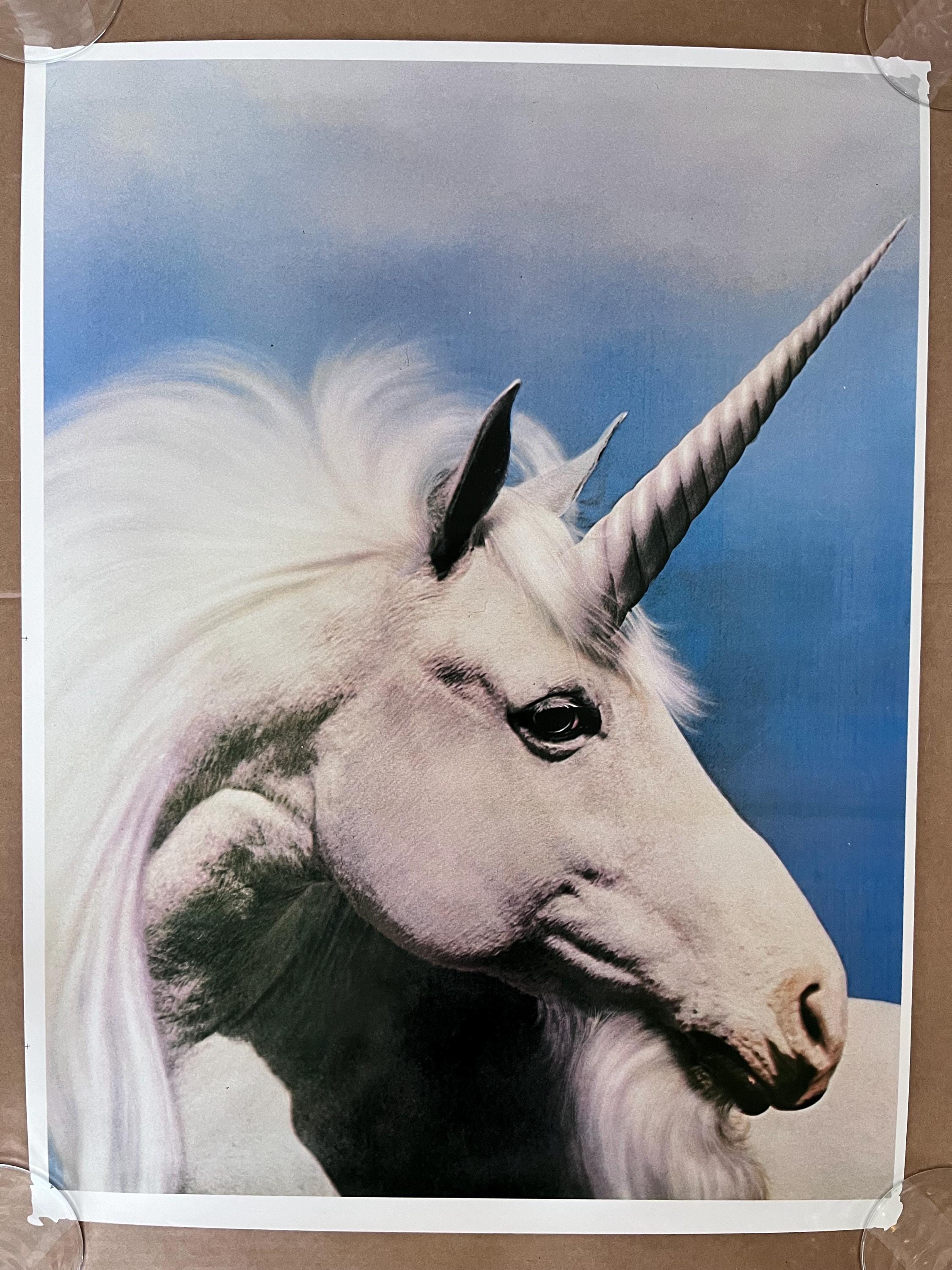 Unicorn Vintage Poster Profile White Unicorns Headshop Posters