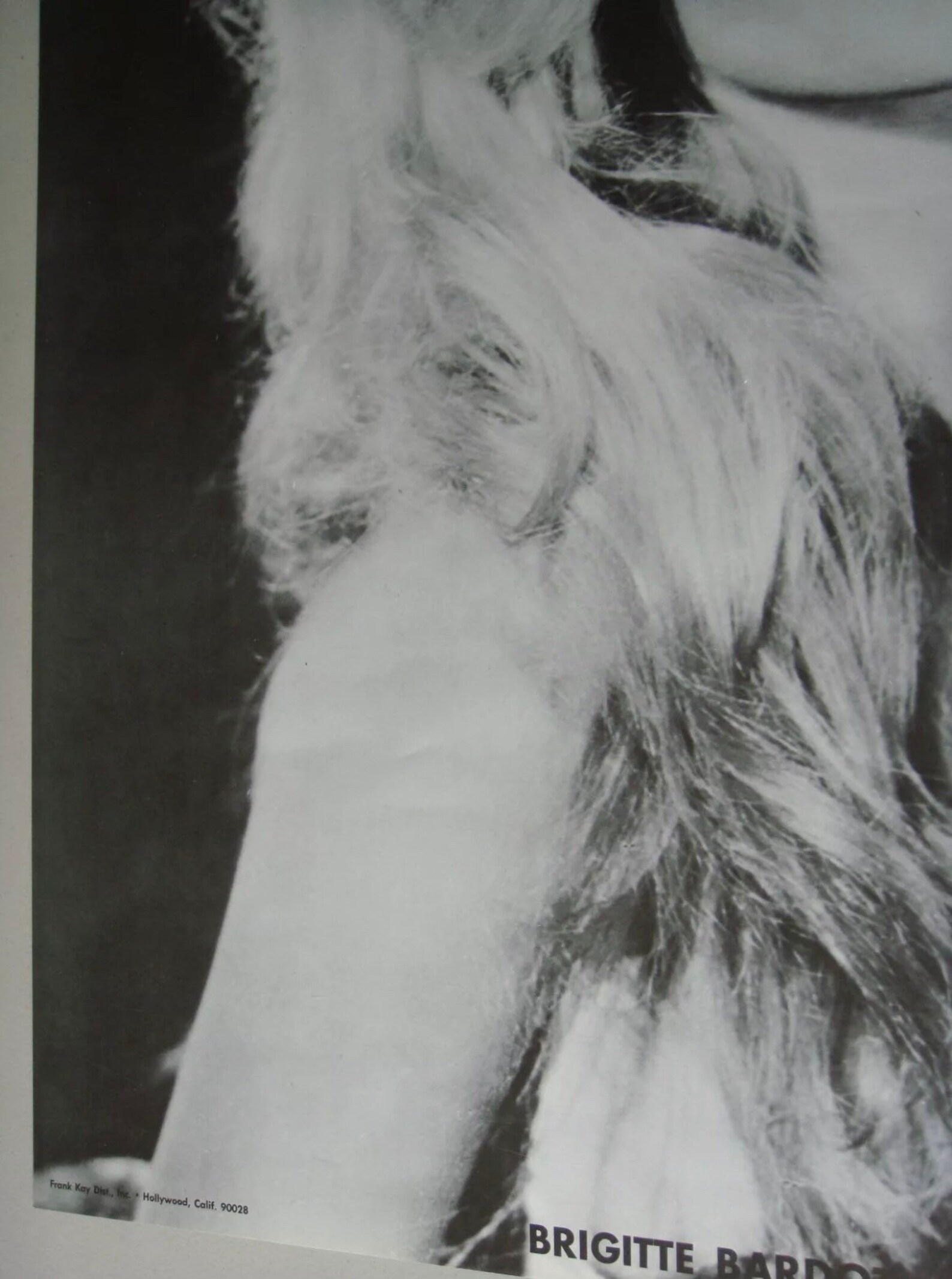 Affiche / Poster Fondation Brigitte Bardot