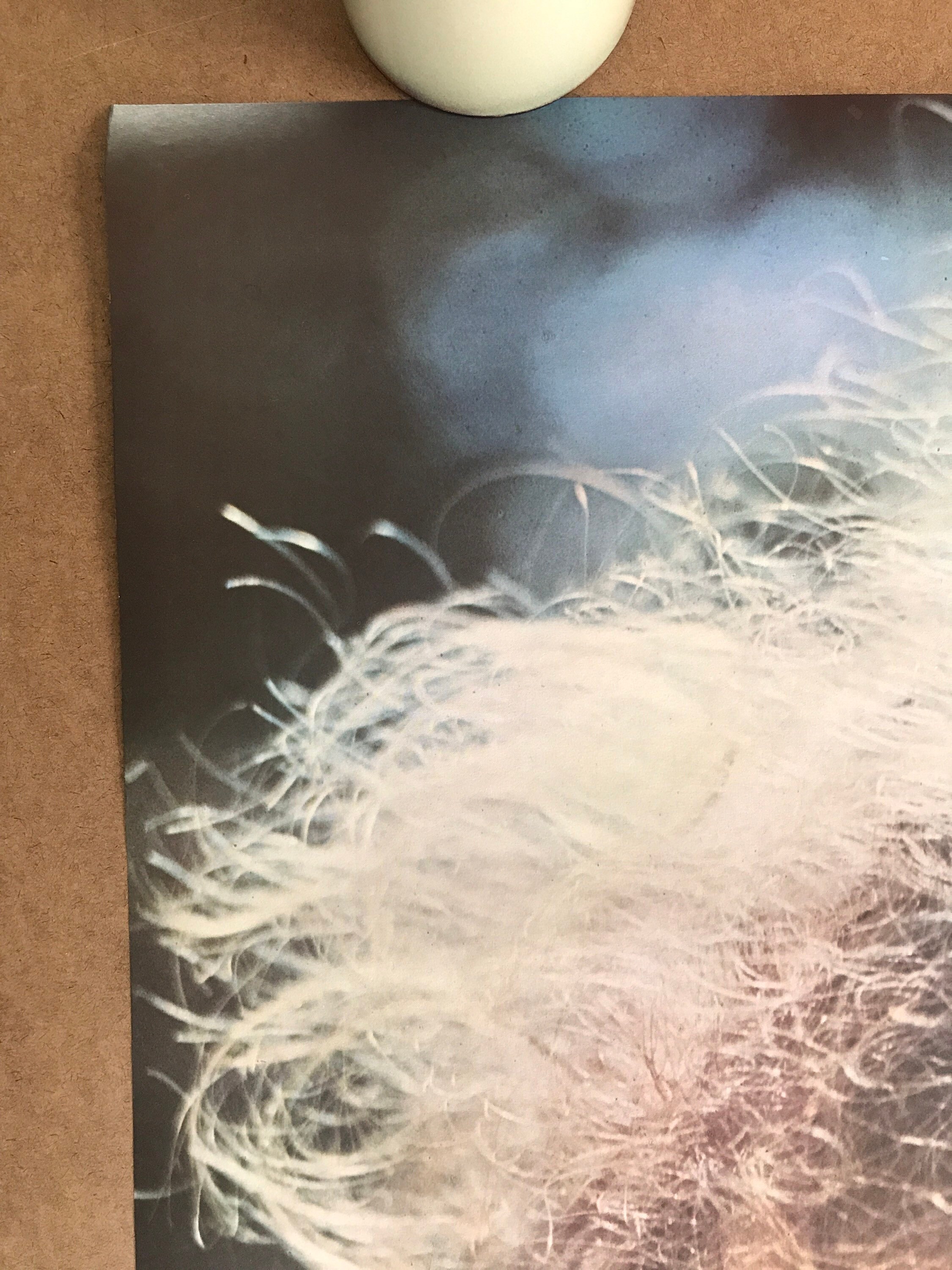 Vintage Original 1970s Marty Feldman Poster Actor Comedian | Etsy