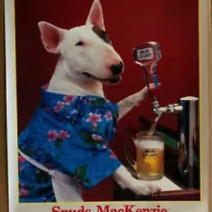 Spuds MacKenzie Original Vintage Poster Bud Light Partyology Beer 1986 Pin Up Budweiser