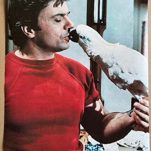 Vintage Original Poster Tony Bird Beretta 1970s TV Pro Arts TV Poster Memorabilia