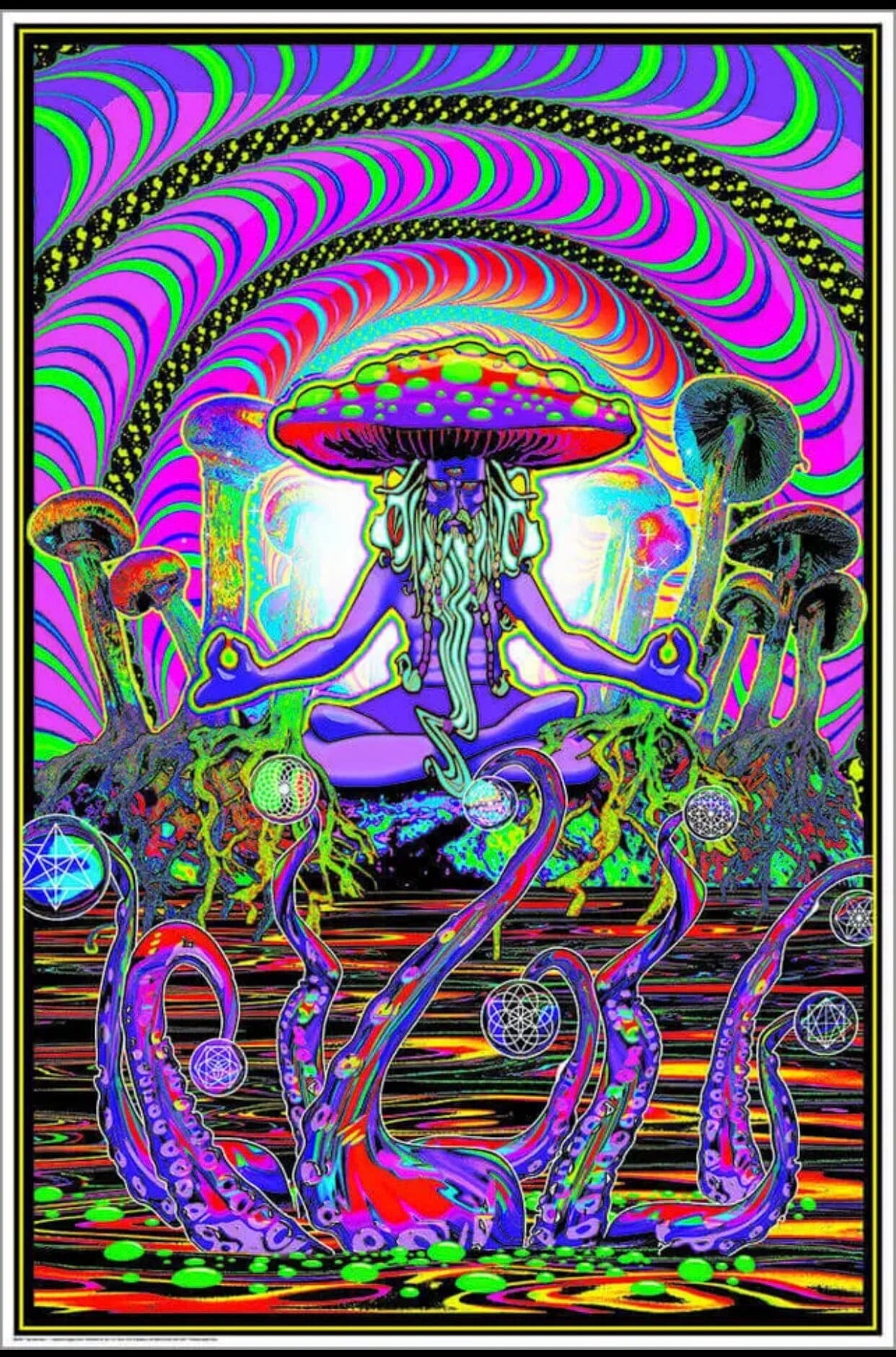 The Shroomer Blacklight Poster Magic Mushroom Man Non Flocked