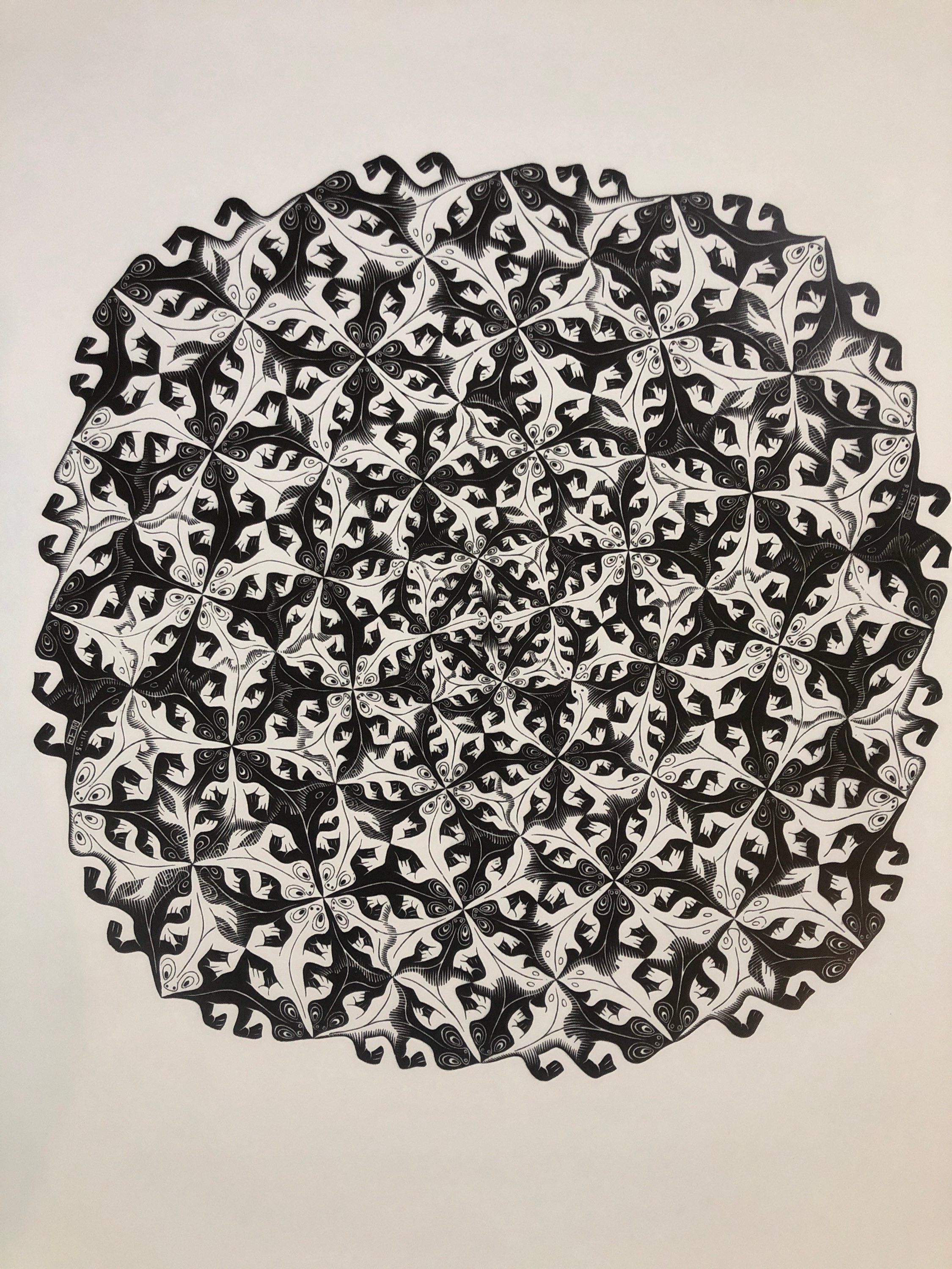 Division Vintage Poster MC Escher Psychedelic 1969 Lizard Lizards