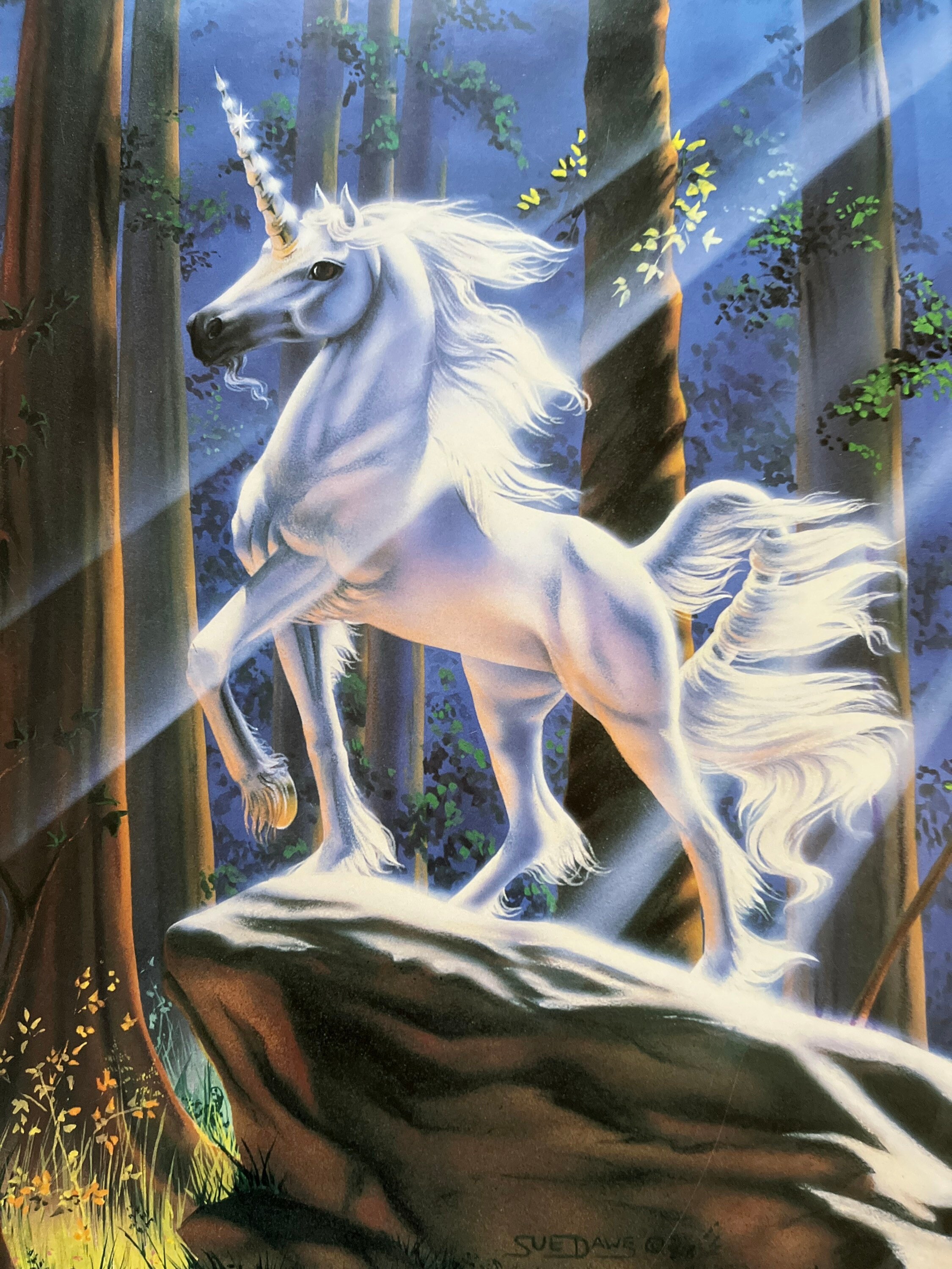 ユニコーン昔のポスター 音楽雑誌の付録ポスター UNICORN ユニコーン/JUN SKY WALKER(S