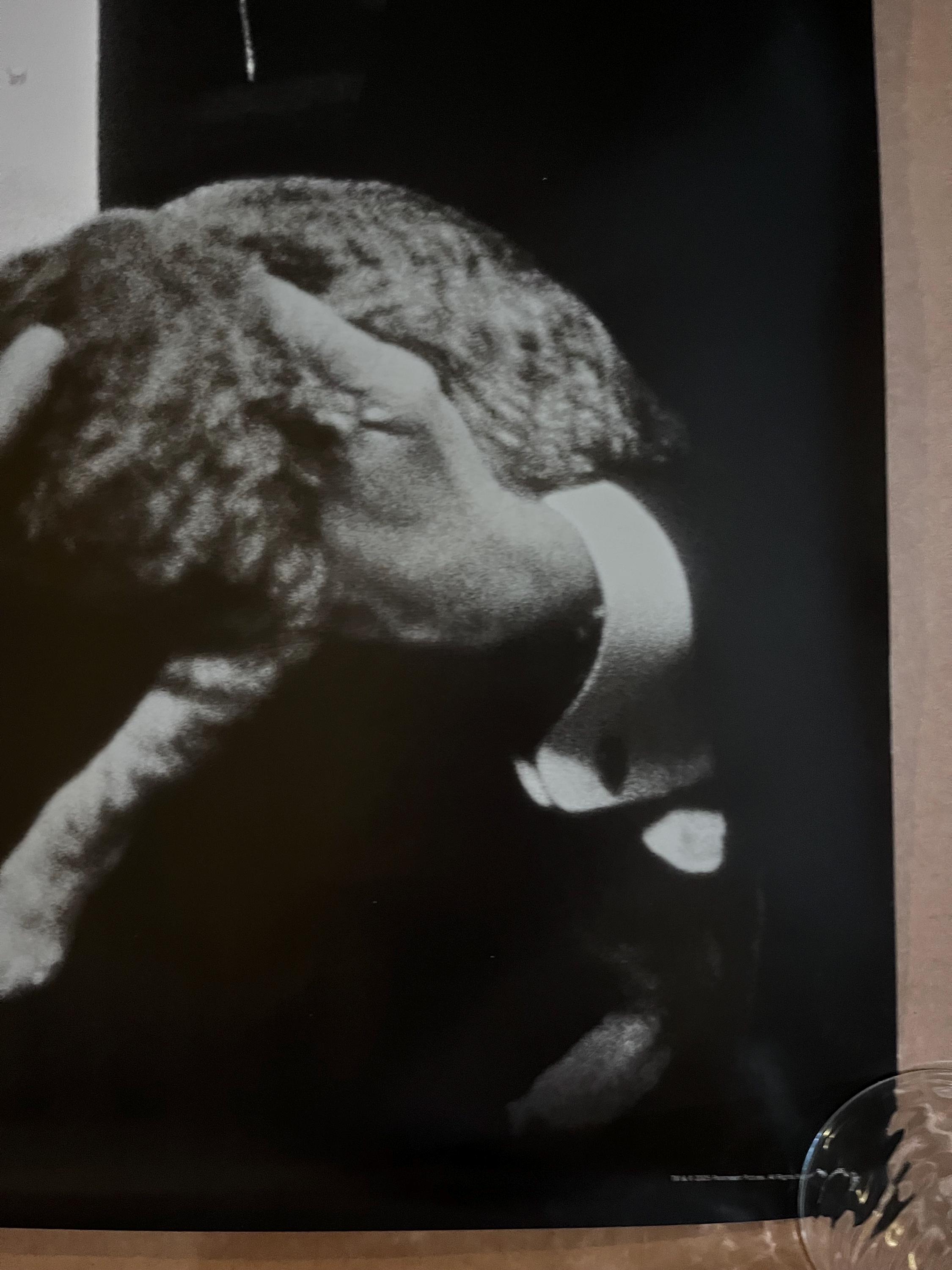 ゴッドファーザー映画ポスター猫マーロンブランド映画クラシック