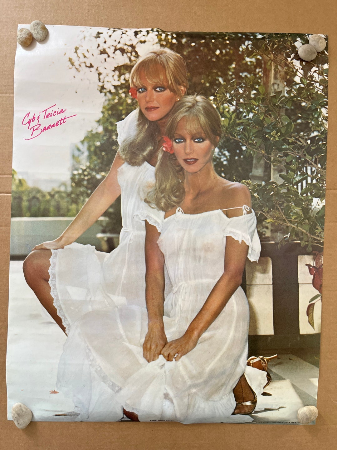 Doublemint Twins Vintage Poster Sexy Women 1970s - Etsy