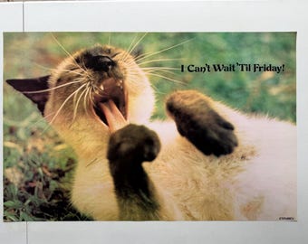 I Can't Wait Till Friday Vintage Poster Cat Headshop 1972