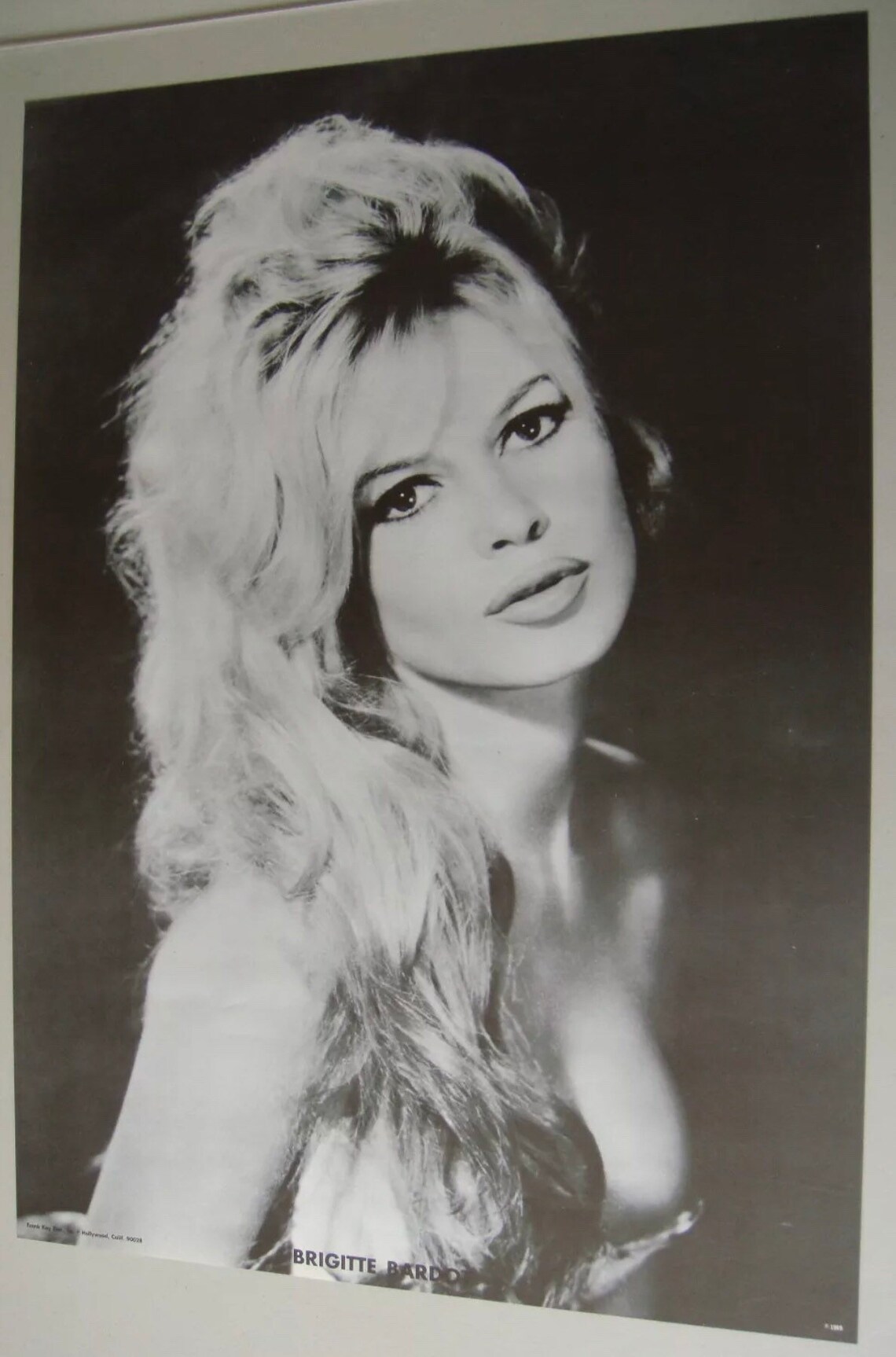 Affiche Brigitte Bardot noir et blanc