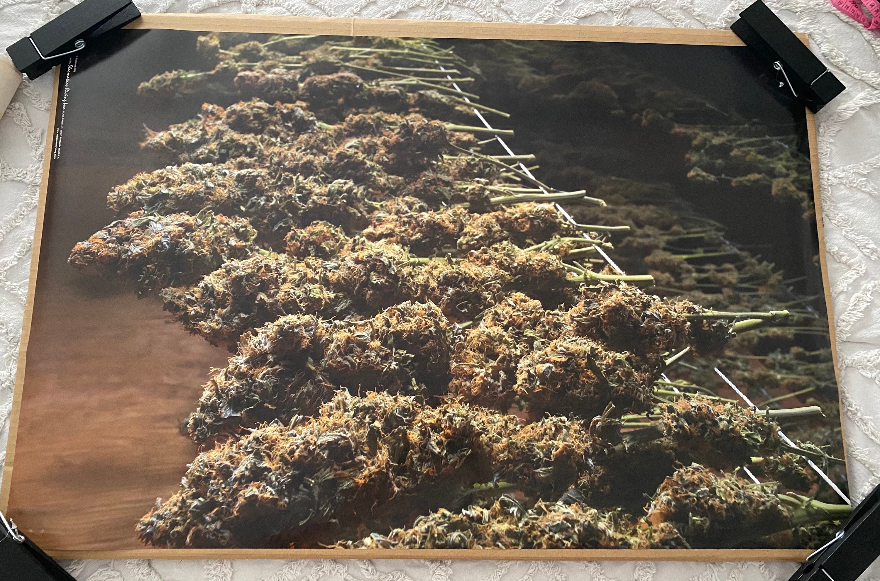 90s nude marijuana vintage shirt ヌード Budshots Marijuana 1990
