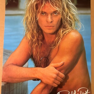 Van Halen David Lee Roth recuerdos musicales cartel vintage de la década de 1980