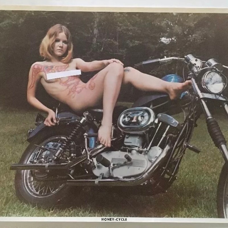 Heather Dinich Nude - Etsy