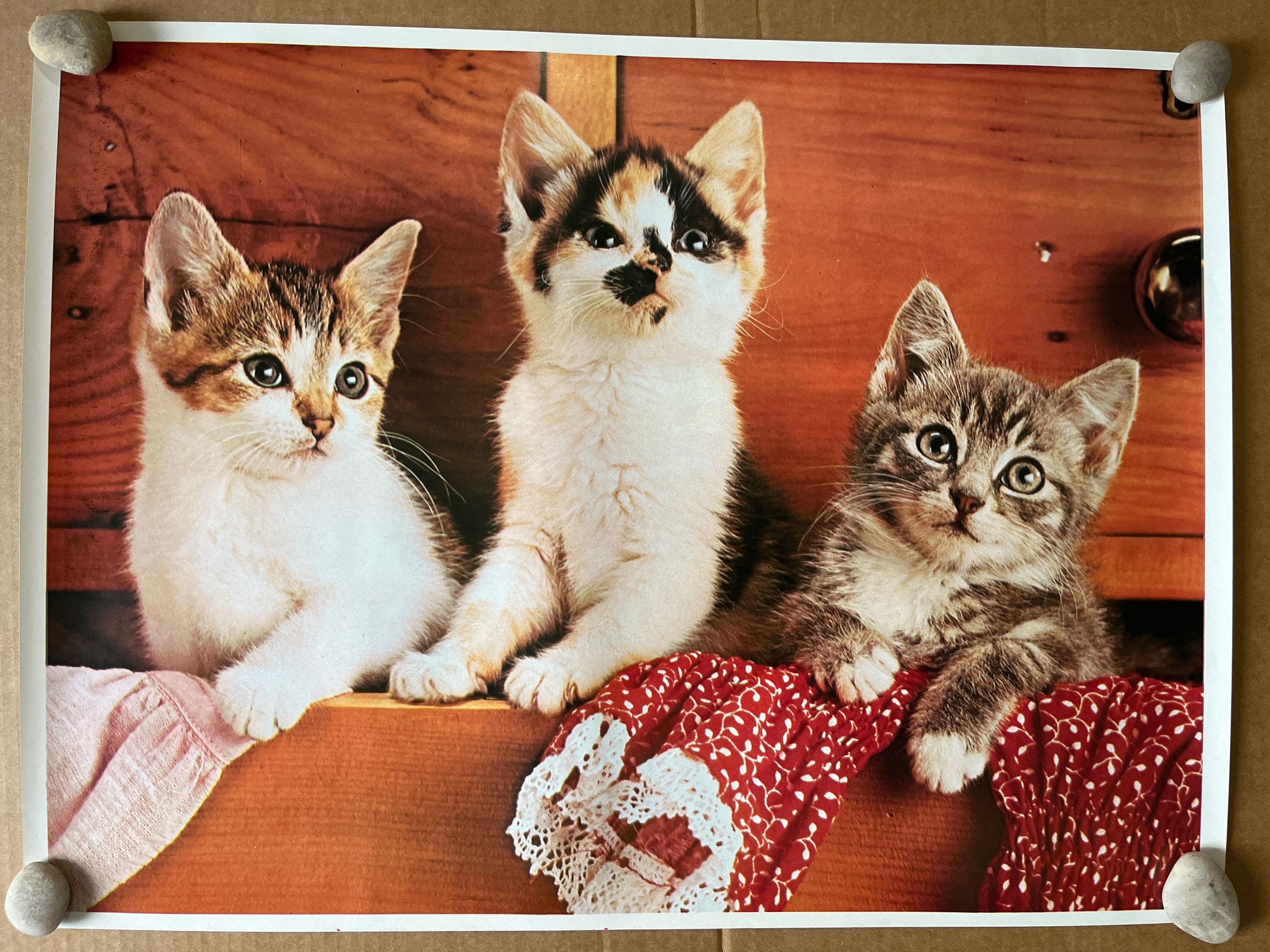 3 Cats Kittens Vintage Poster - Etsy