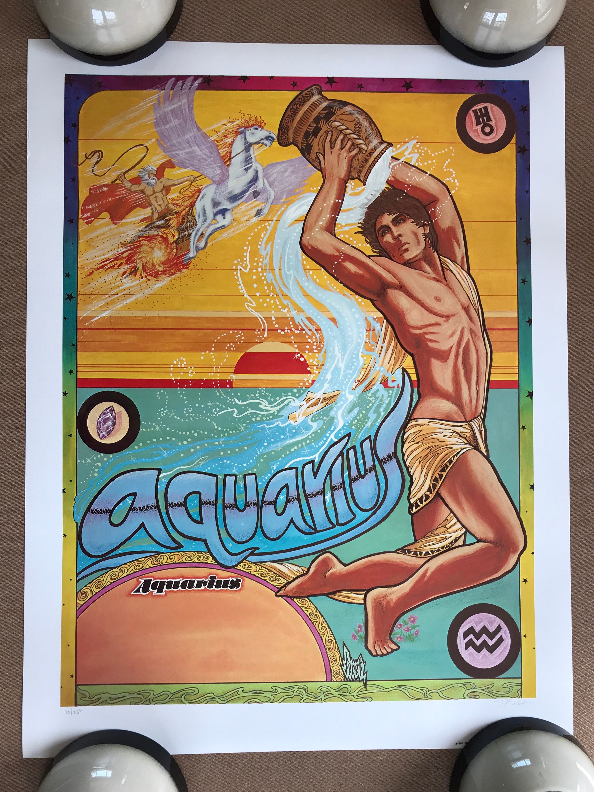 Vintage Original 1970s Aquarius Poster 1976 Pro Arts Zodiac