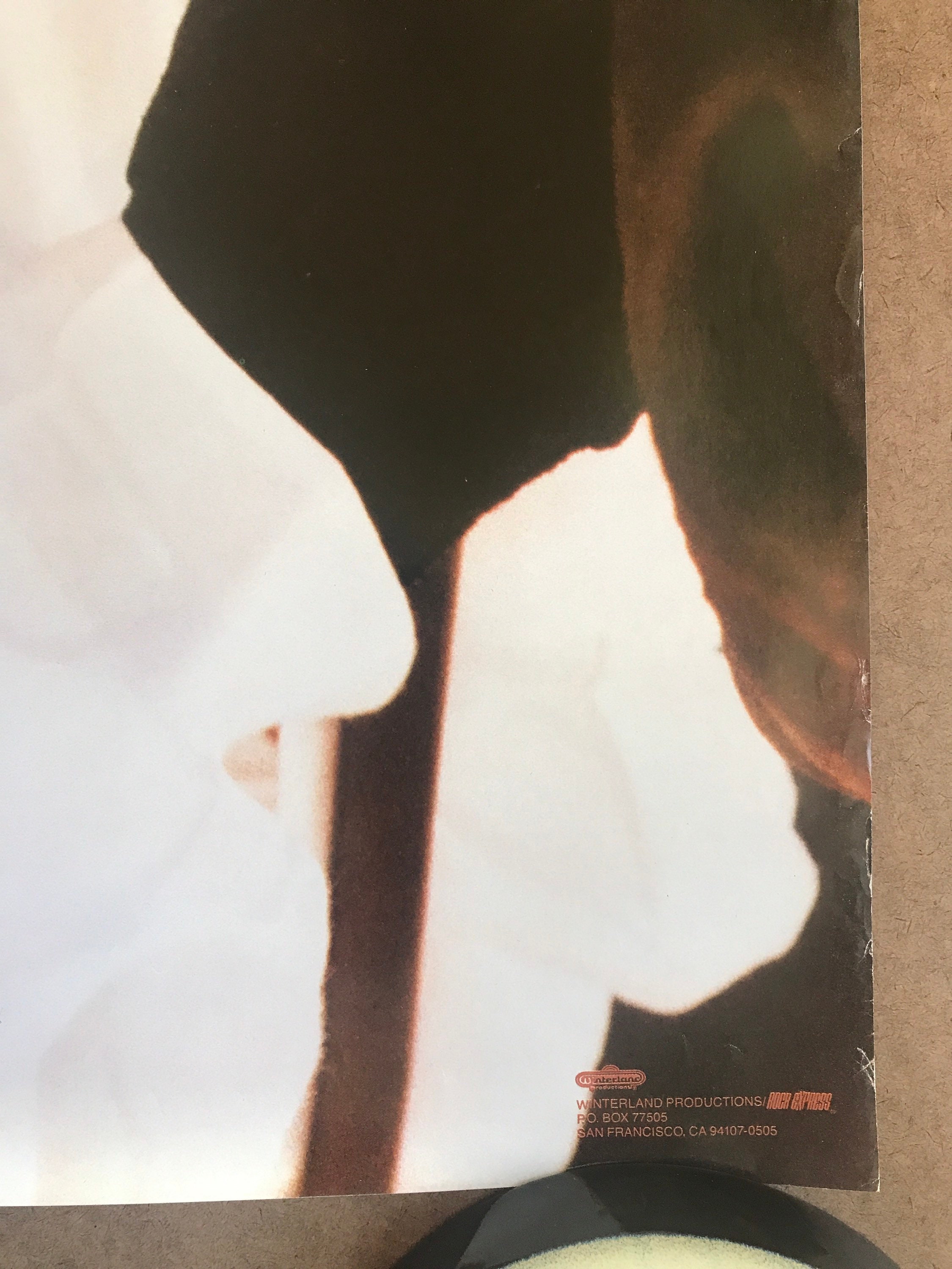 Vintage Original 1990s Janet Jackson Pinup Poster 1990