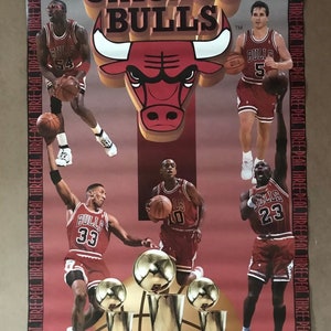 Vintage 1993 NBA Finals Chicago Bulls 3 Peat Champions