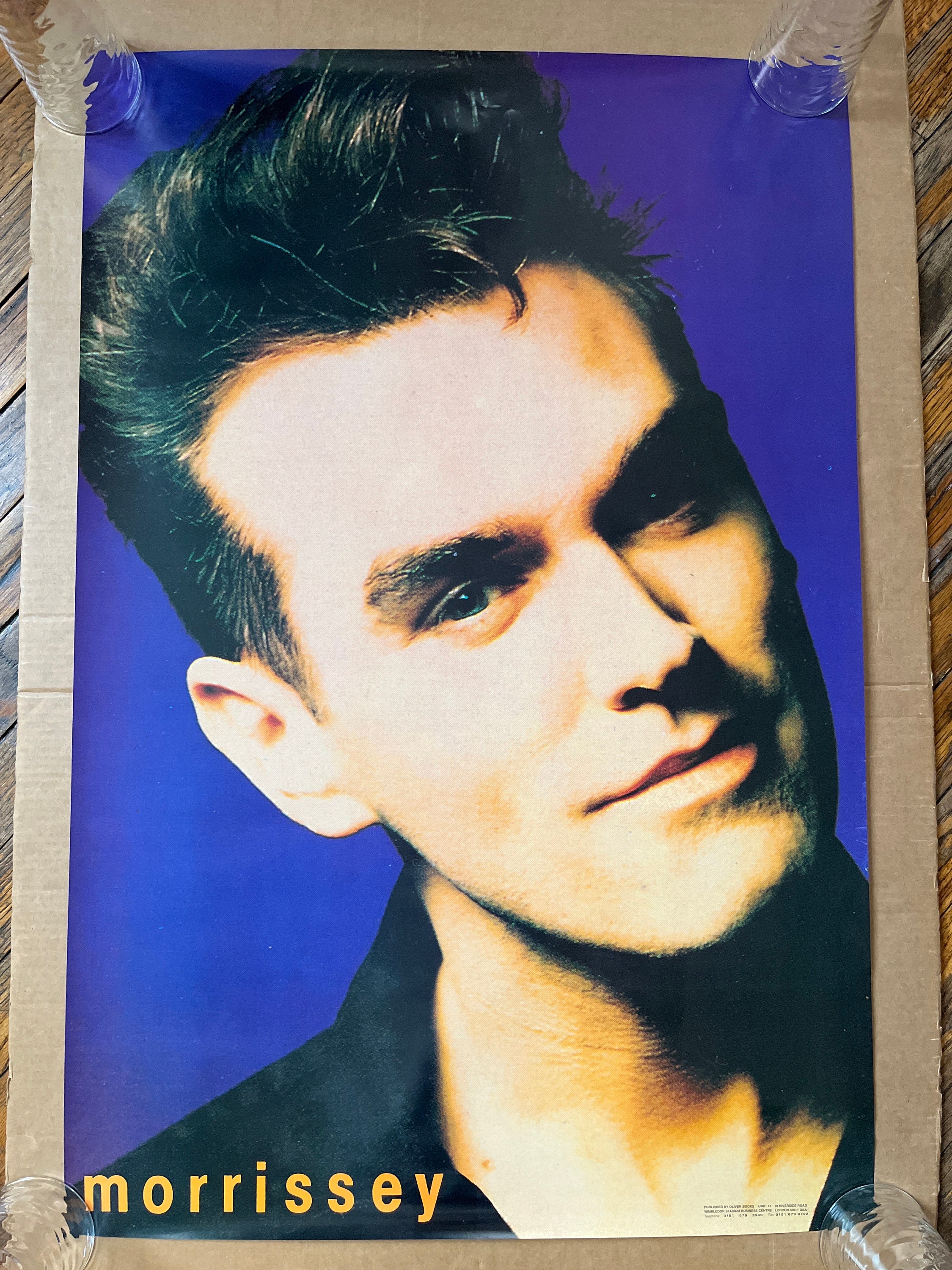 Toast Wicked's 21st Birthday with Mary Kate Morrissey Singing 'The Wizard  and I' | Hippodrome Broadway Series, image size:2250x3000