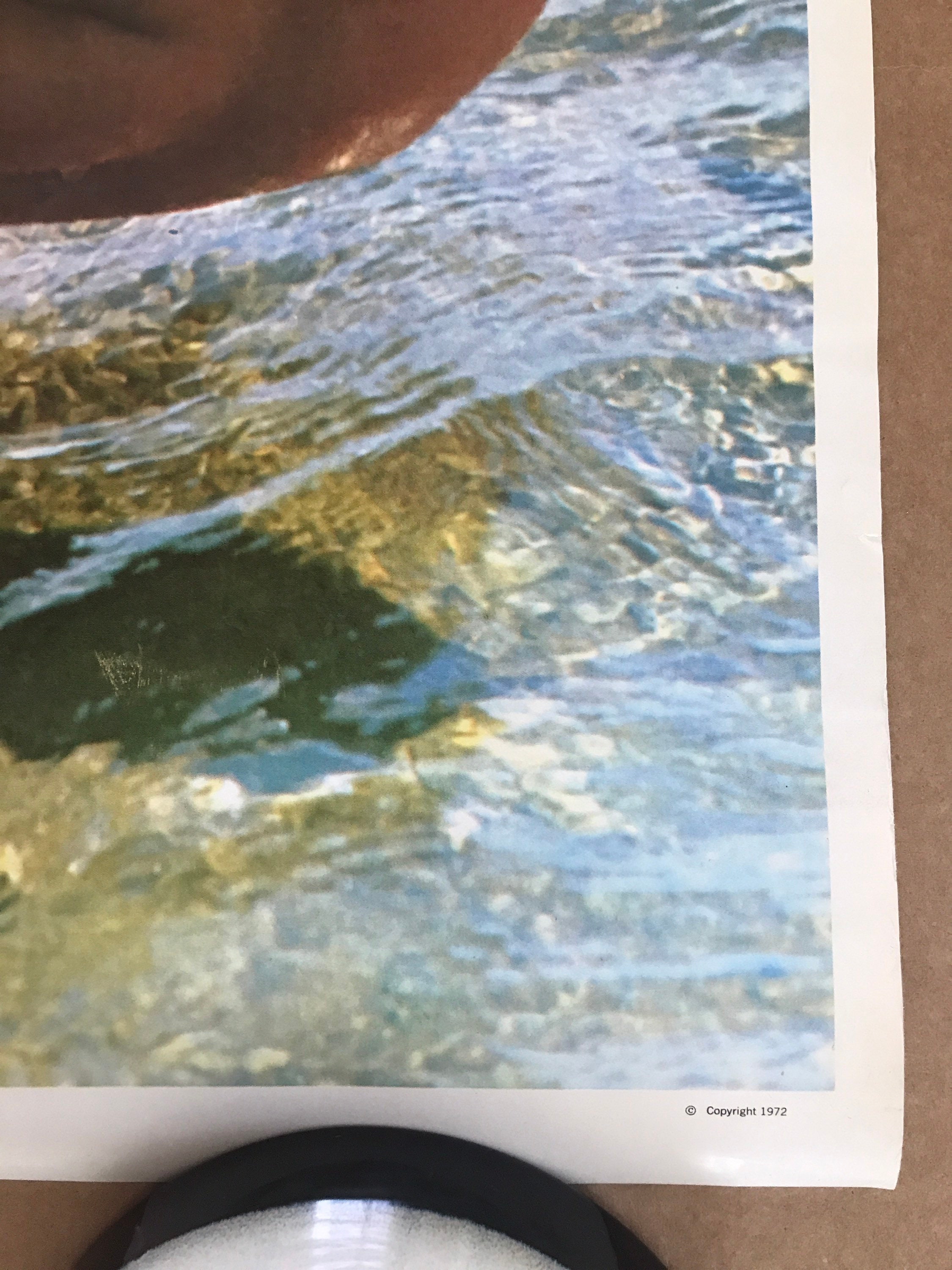 Vintage Original 1970s Nude Model Lady Barbara Poster Sexy - Etsy