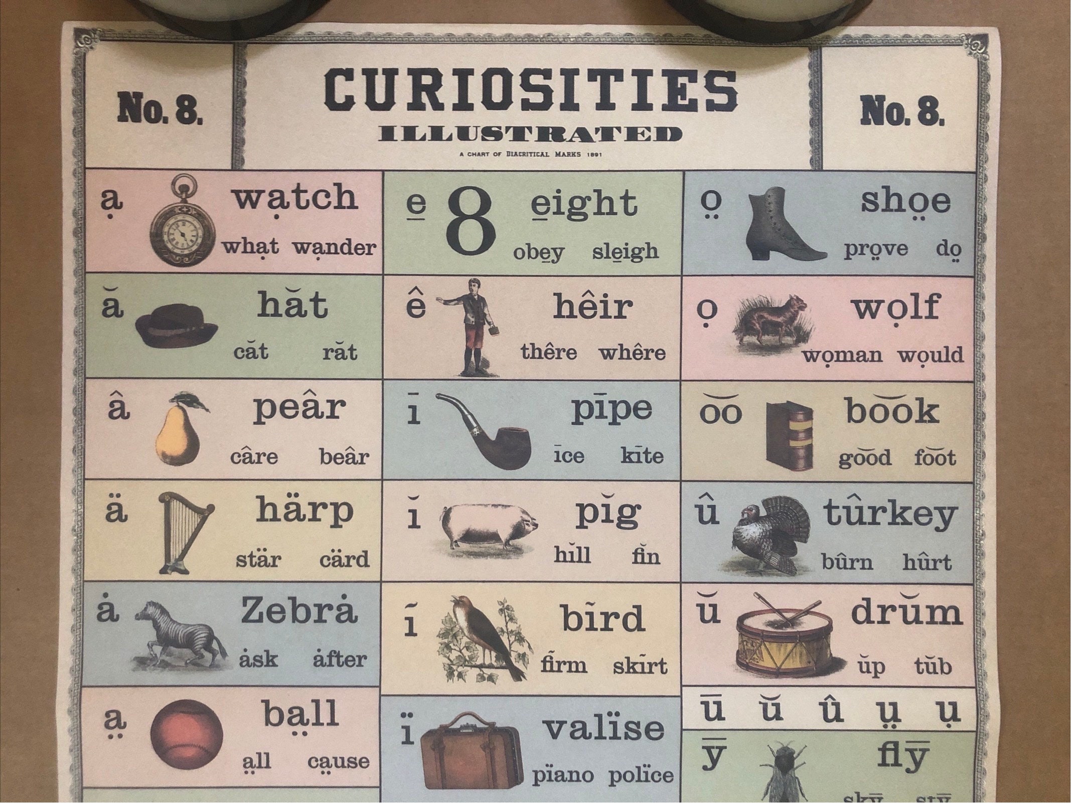 Curiosities Illustrated Poster Collage Items Spelling Learning Children ...