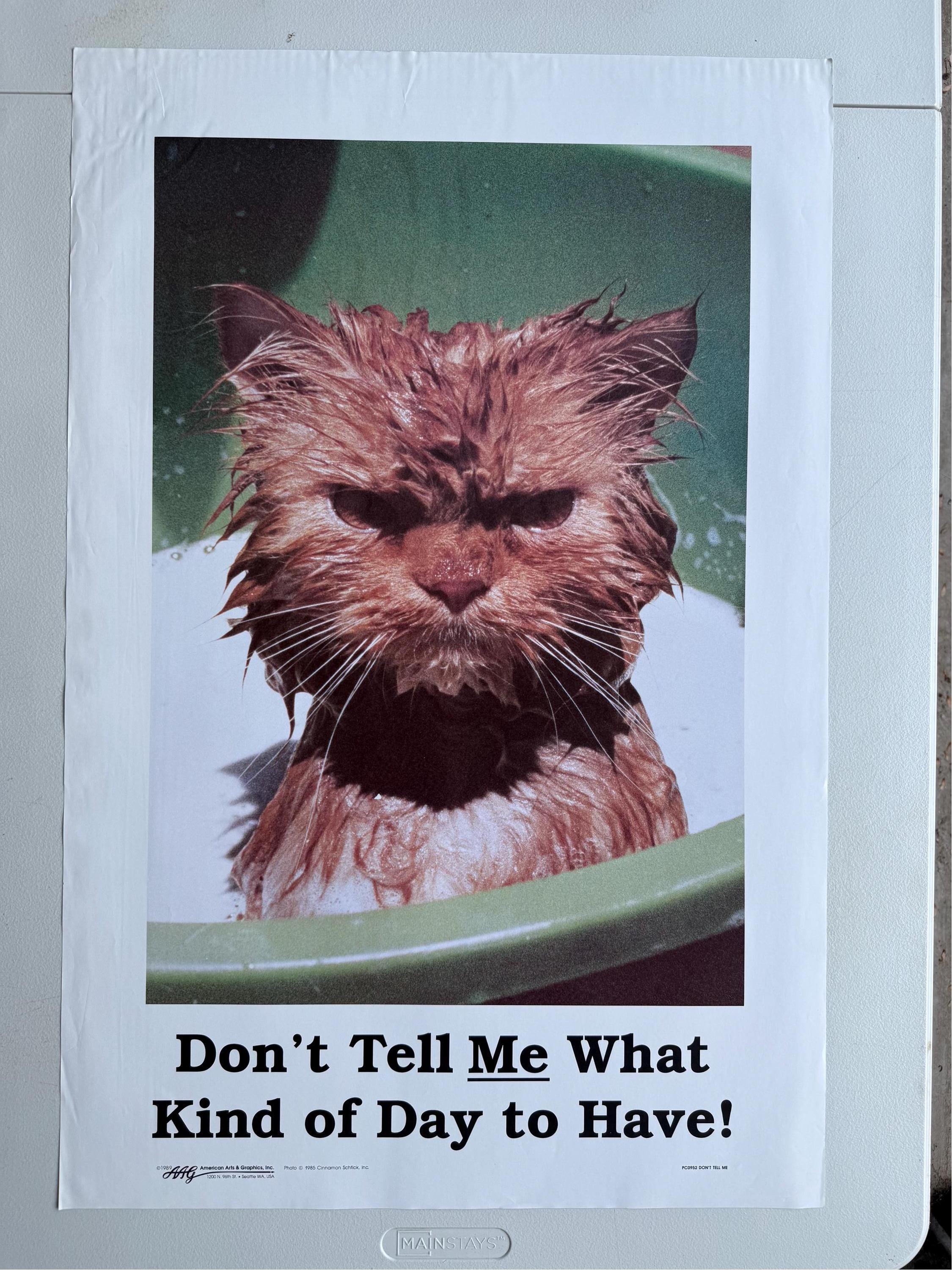 Vintage 1985 Wet Cat Poster: 'don't Tell Me' - Etsy