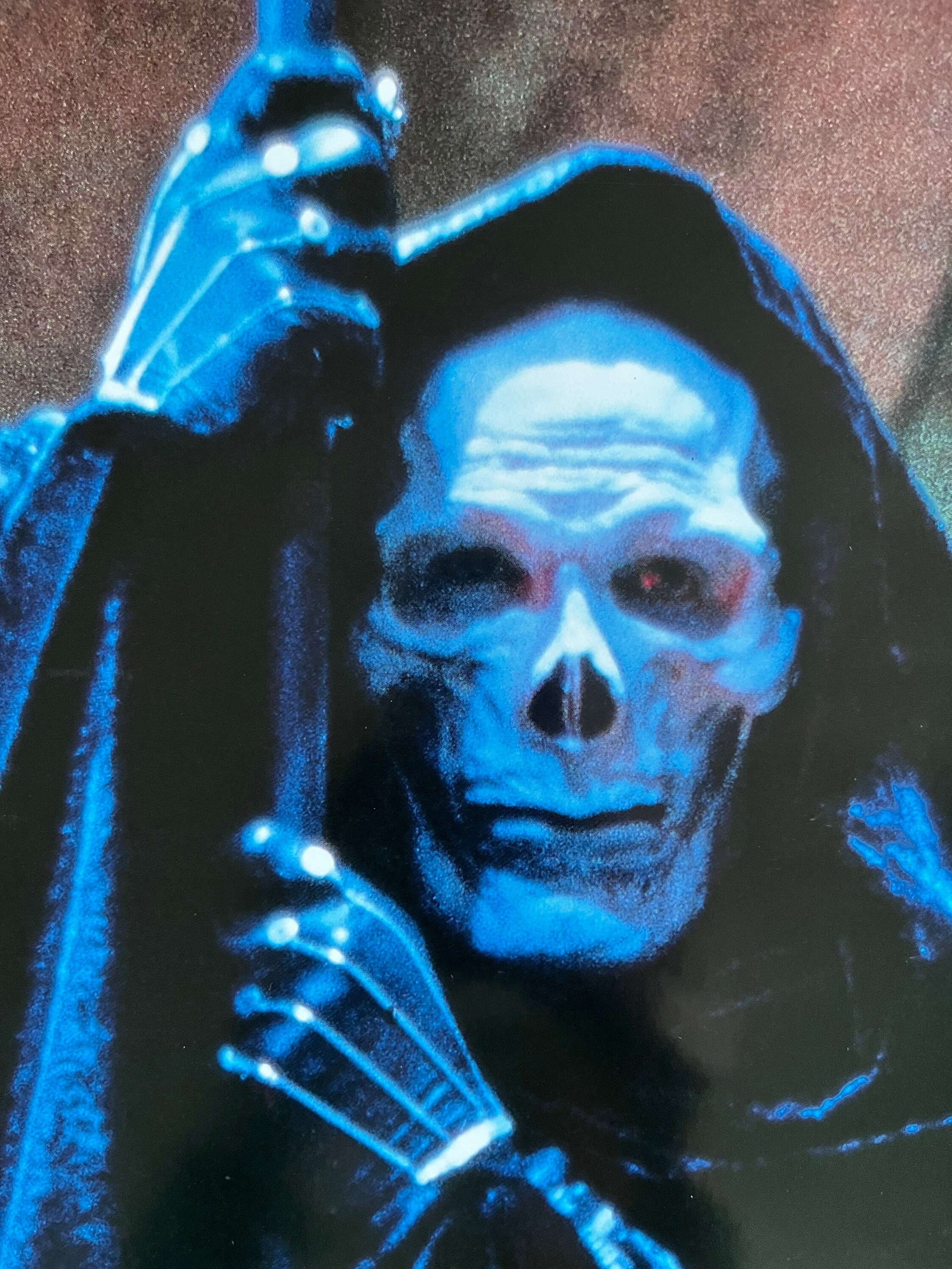 Masters Of The Universe Skeletor Wall Poster - Glossy 22.375" X 34" Official Mattel Poster