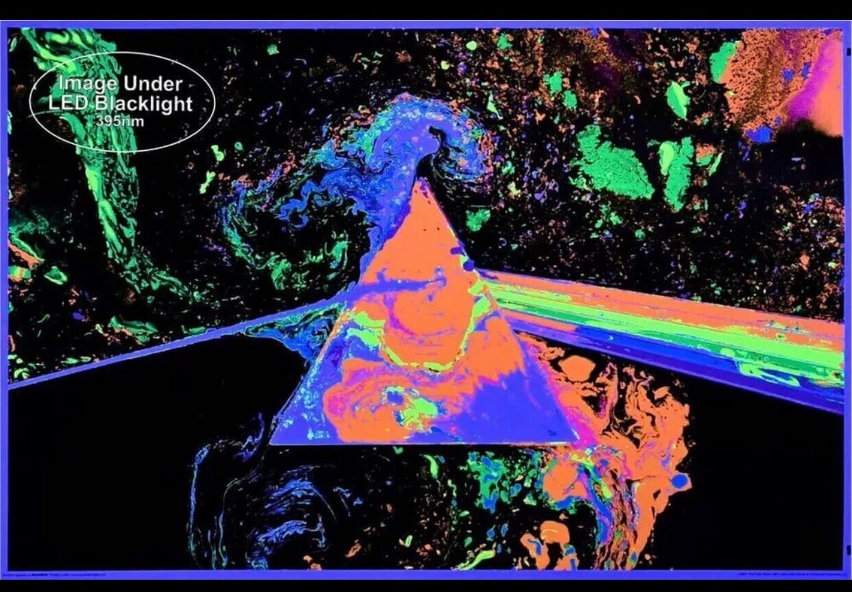 【美品】モナリザ　ブラックライト ポスター  ネオン USA Amazon.com: Mona Lisa Joint - Laminated Blacklight Poster
