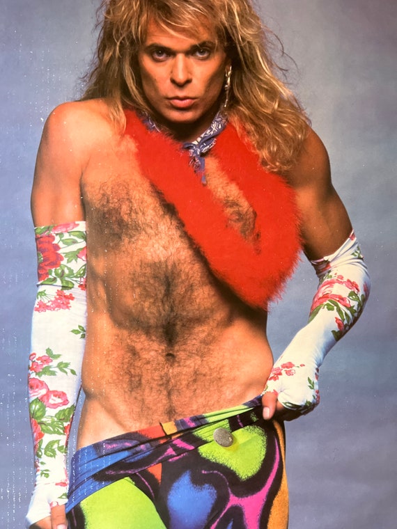 David Lee Roth Vintage Poster Van Halen Rock Music - Etsy Finland