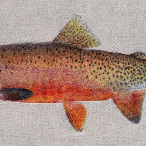 Oncorhynchus clarkii lewisii or Westslope cutthroat trout