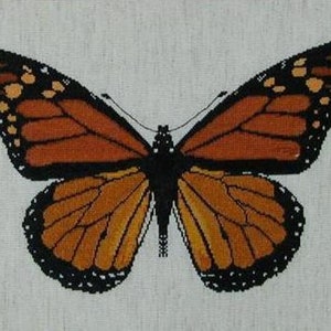 Danaus plexippus or Monarch butterfly, front and back