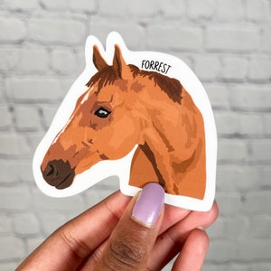 Custom Horse Sticker, Custom Pet Sticker, Pet Lover, Horse lover, Birthday Day Gift, Valentine's Day Gift| Water bottle & Laptop Sticker