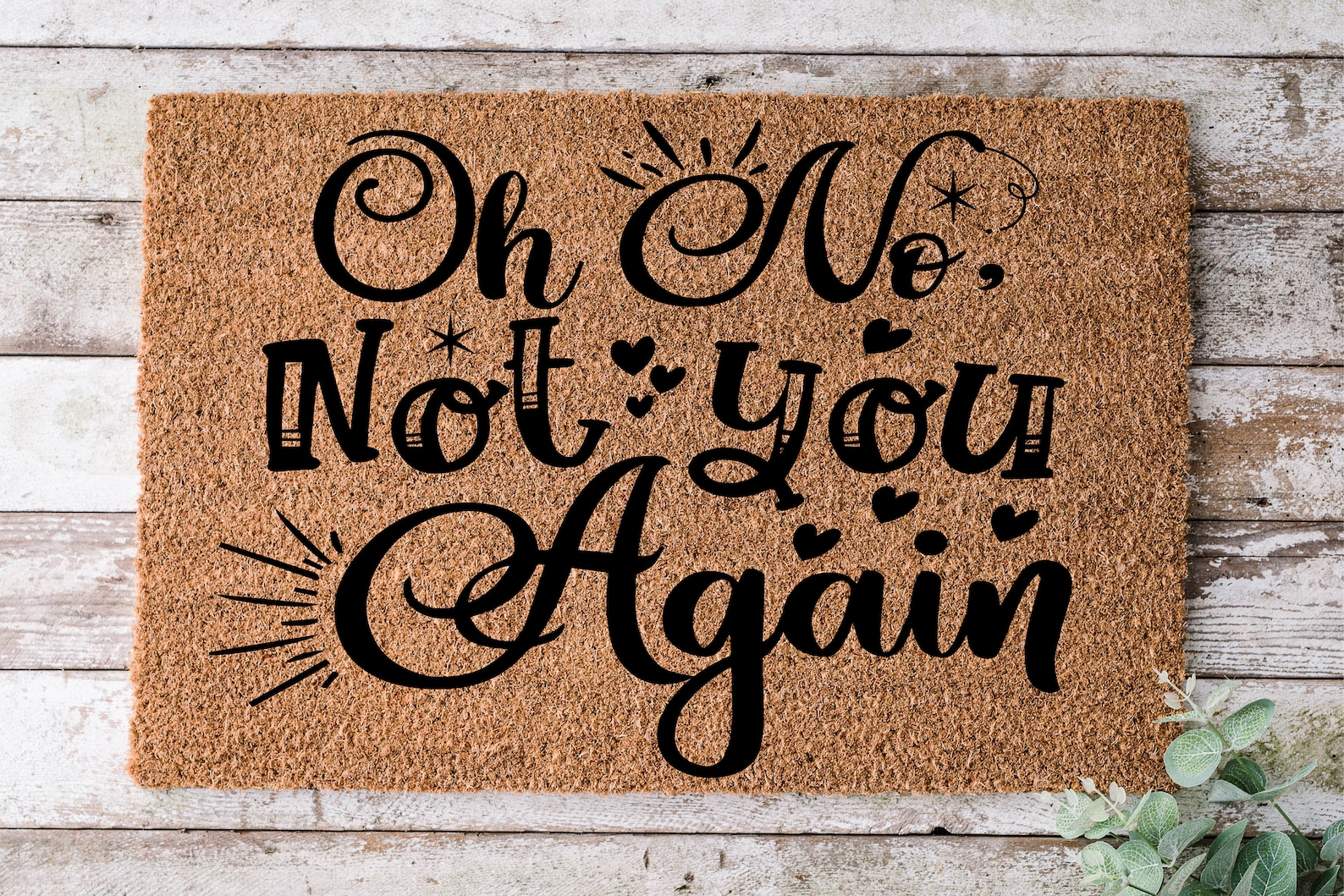 Oh No Not You Again Door