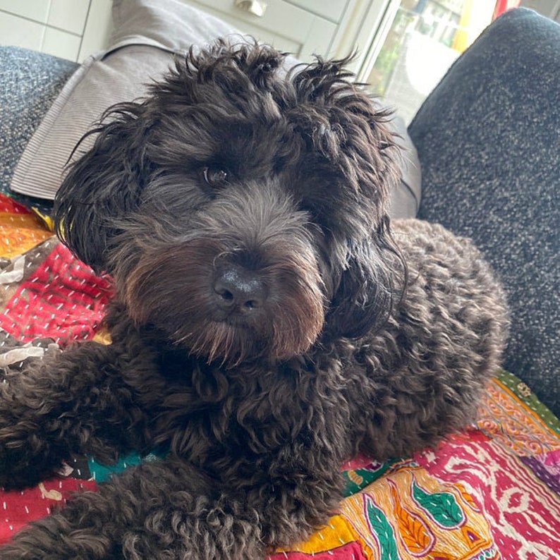 Vintage Kantha Quilt / Vintage Kantha Throw / Kantha Throw / Etsy UK