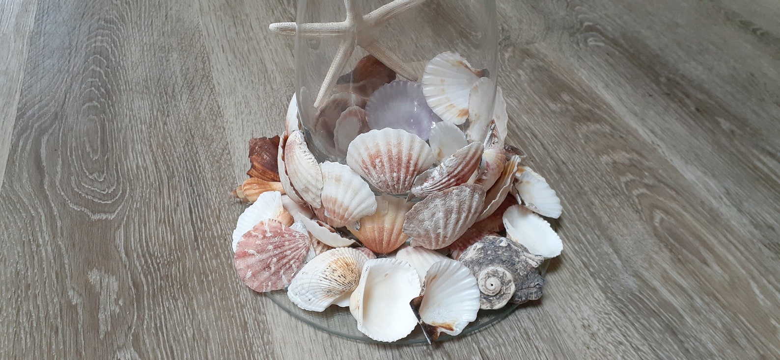 Seashell covered vase. glass vase with seashells. Coastal Etsy