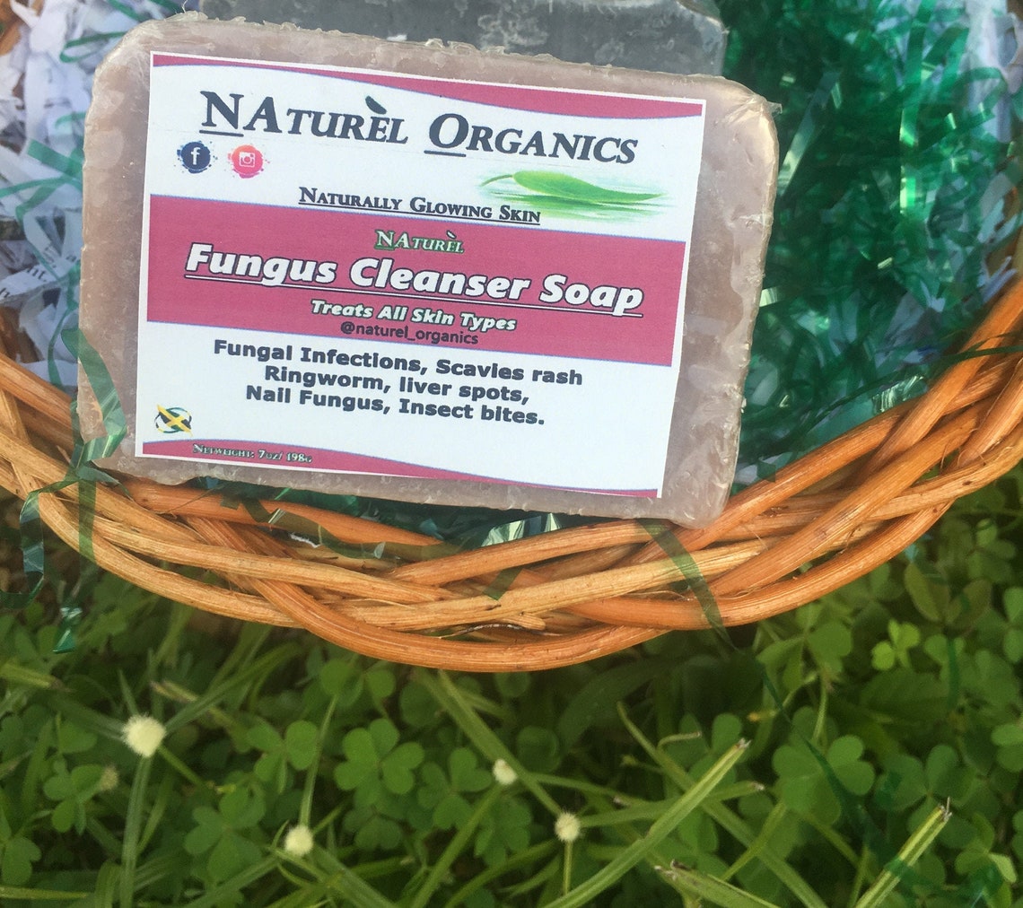 Fungus cleanser soap AntiFungal soap Nail Fungus Insect Etsy